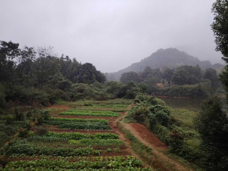 微信图片_2025-10-17_125747_048