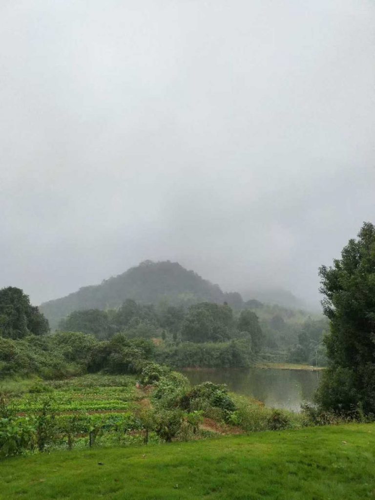 微信图片_2025-10-17_125759_590