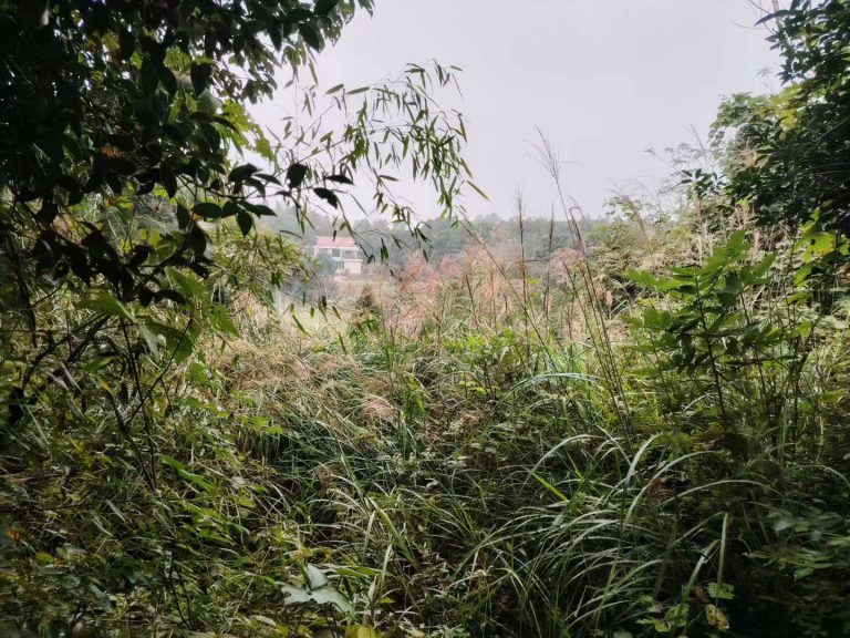 微信图片_2025-10-17_125813_602