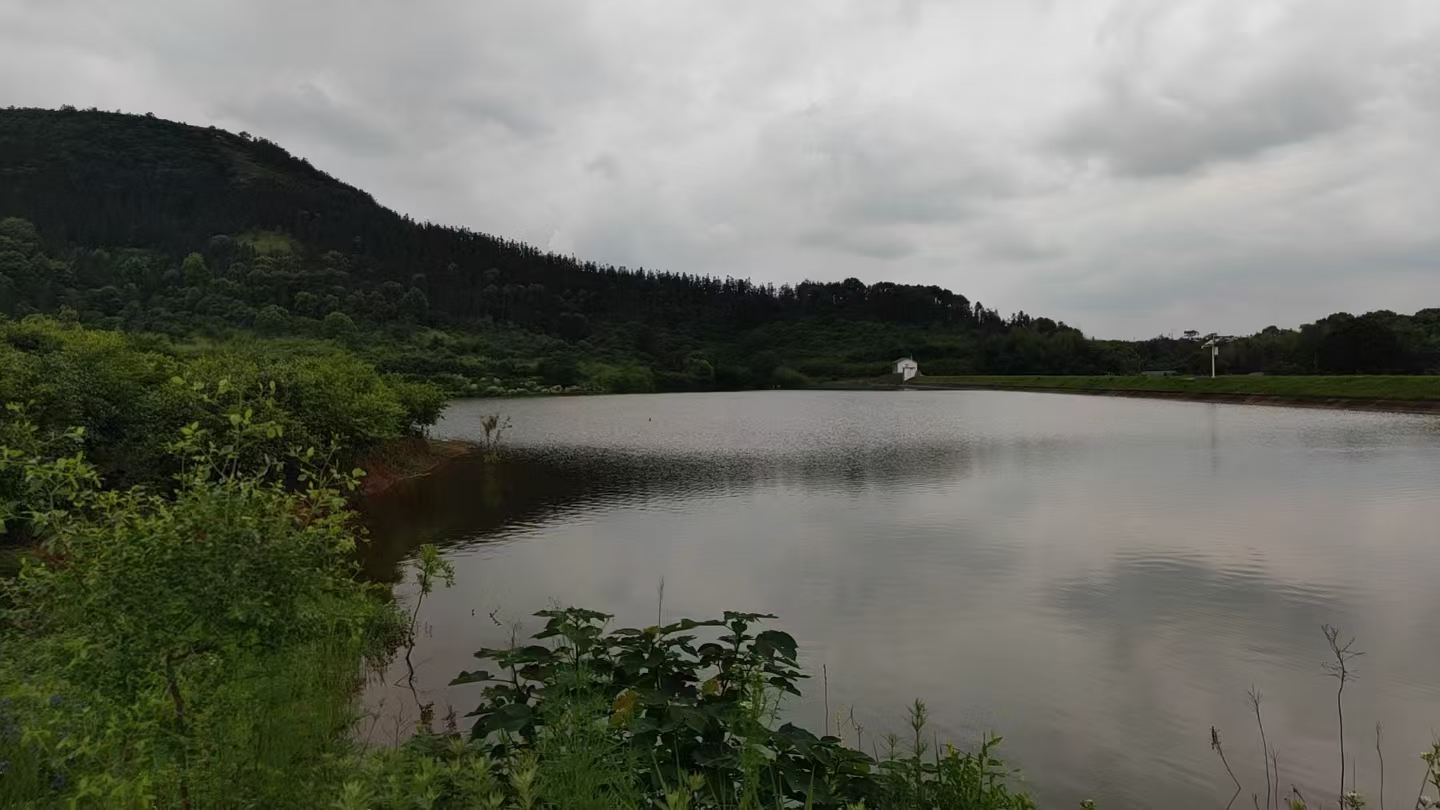 Weixin Image_2026-05-21_164535_223